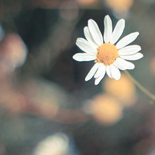 ddos压力测试平台